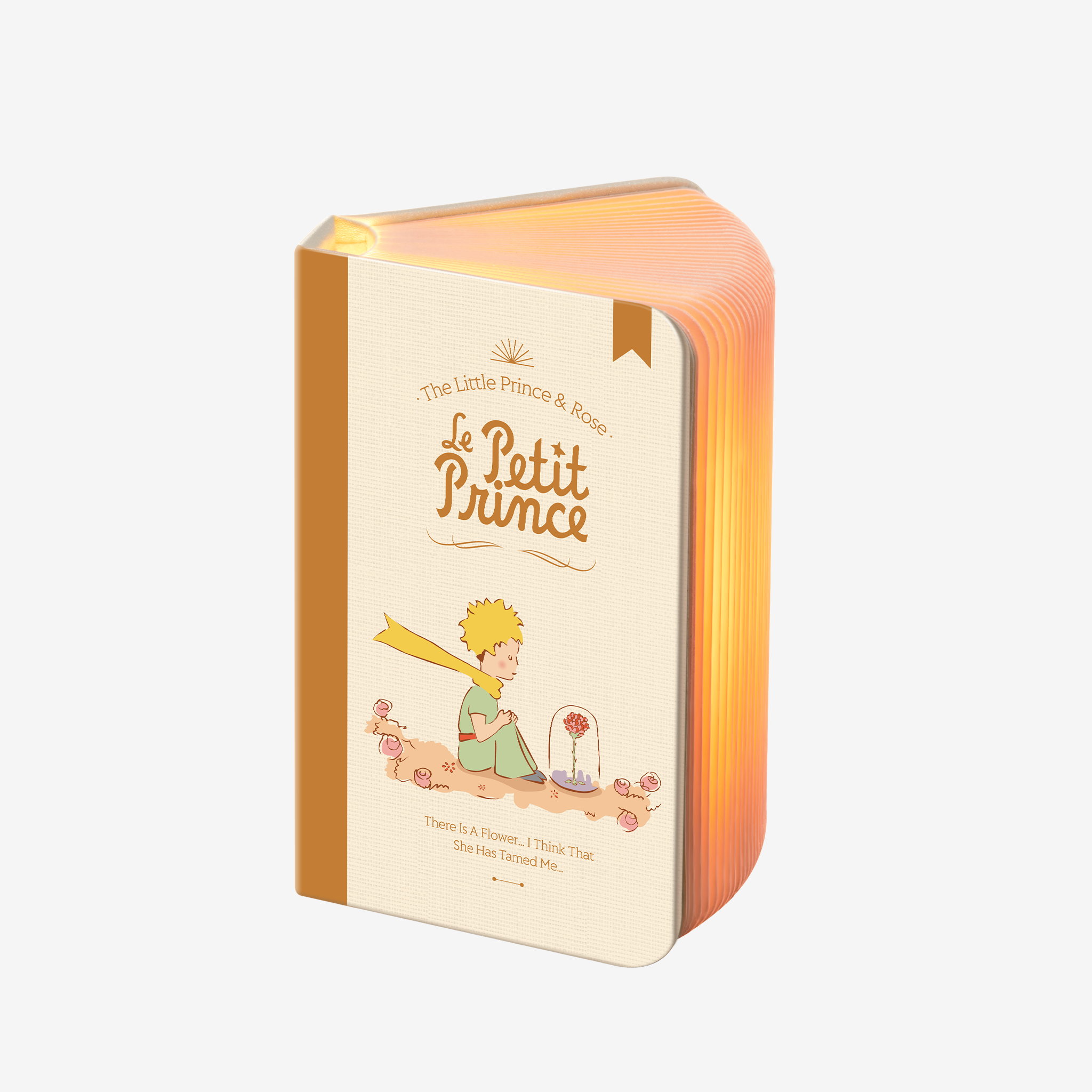 MarTUBE Lámpara estilo libro Le Petit Prince