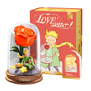 The Little Prince (Le Petit Prince) Rose Lamp - Enchanted Red Rose Glass Dome Night Light, Interactive Bedside Lamp with Timer Function, Romantic Gift for Mom, Wife, Girlfriend on Mother’s Day & Anniversary -  MarTUBE®