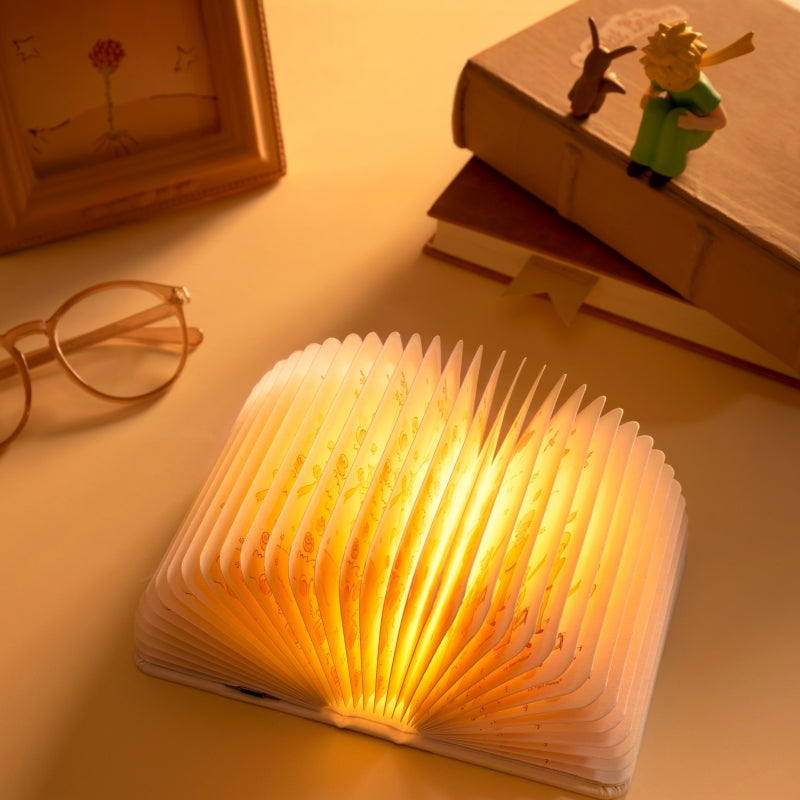 Le Petit Prince Book Lamp - MarTUBE