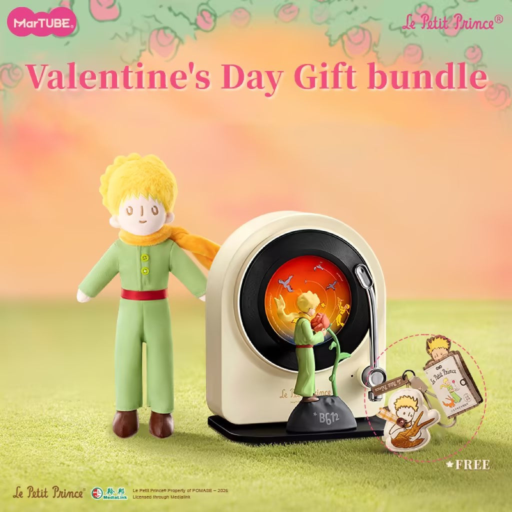 Valentine's Day Gift Bundle - The Little Prince Record Player