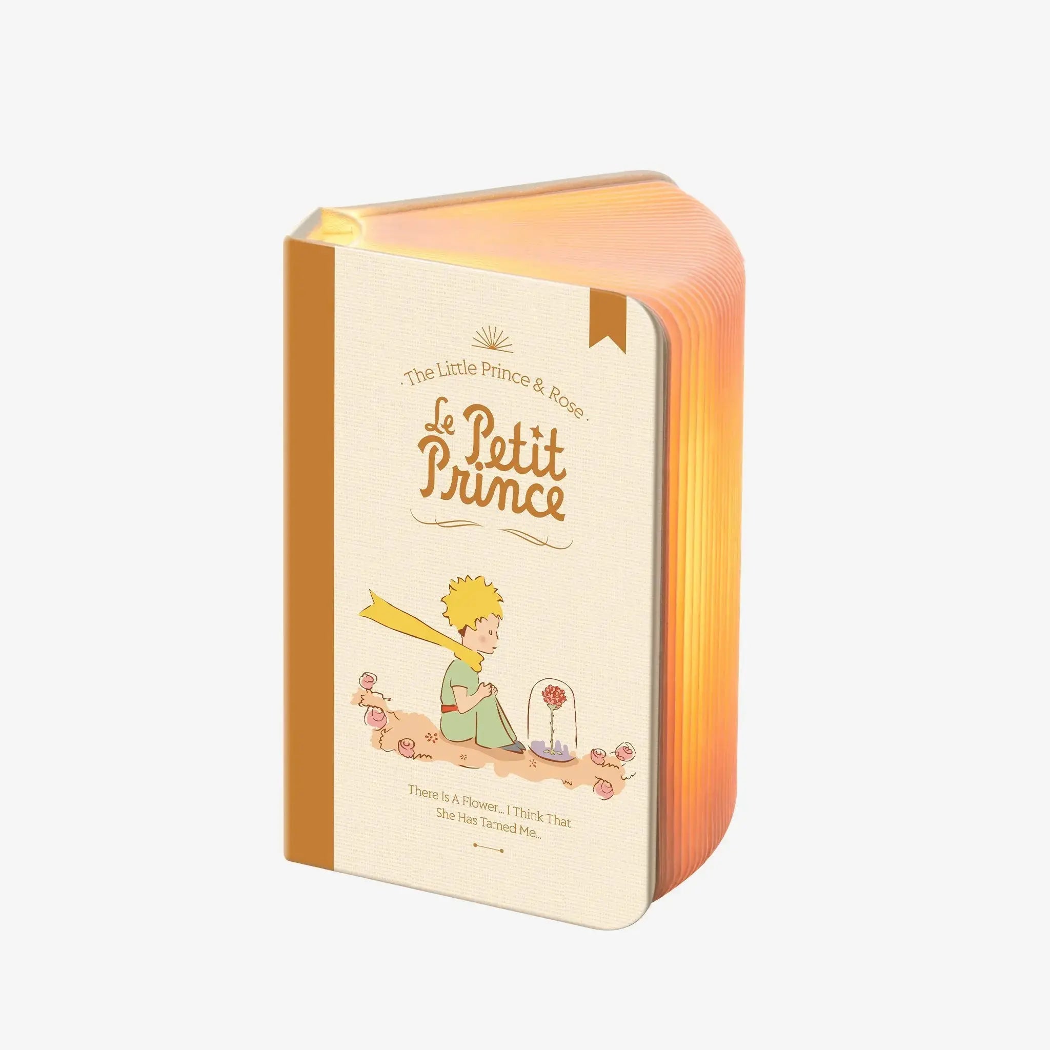 MarTUBE®︎ x Le Petit Prince Book Style Light - MarTUBE